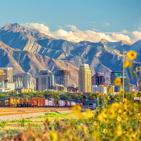 Mission Statement; City skyline with tall buildings set against majestic, sunlit mountains. Foreground features vibrant yellow flowers and a train, under a clear blue sky.
